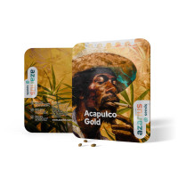 Acapulco Gold - Semi di cannabis femminizzati di Azarius