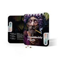 Granddaddy Purple | Semi di cannabis di Azarius