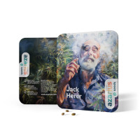 Jack Herer | Semi di cannabis di Azarius