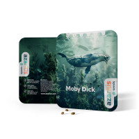 Moby Dick | Semi di cannabis di Azarius