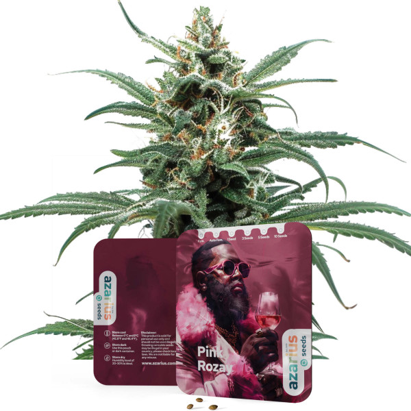 Pink Rozay | Semi di cannabis Azarius