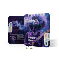 Purple Haze | Semi di cannabis di Azarius