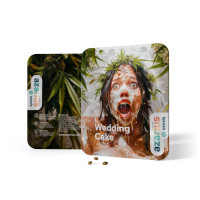 Wedding Cake | Semi di cannabis di Azarius