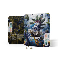 Blueberry Auto | Semi di cannabis di Azarius