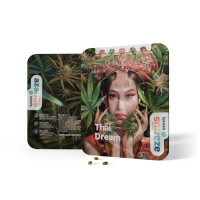 Semi di cannabis femminizzati Thai Dream di Azarius