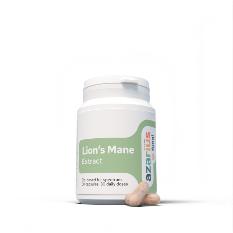 Lion's Mane Extract