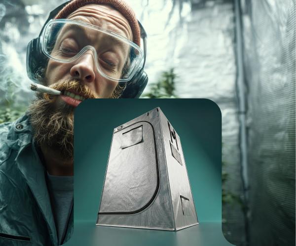 La tua coltivazione domestica ideale: kit completo o su misura
