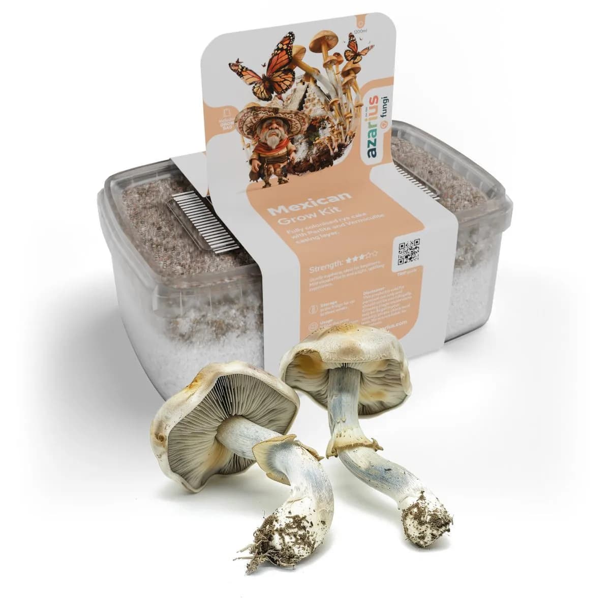 Kit di coltivazione funghi magici Mexican