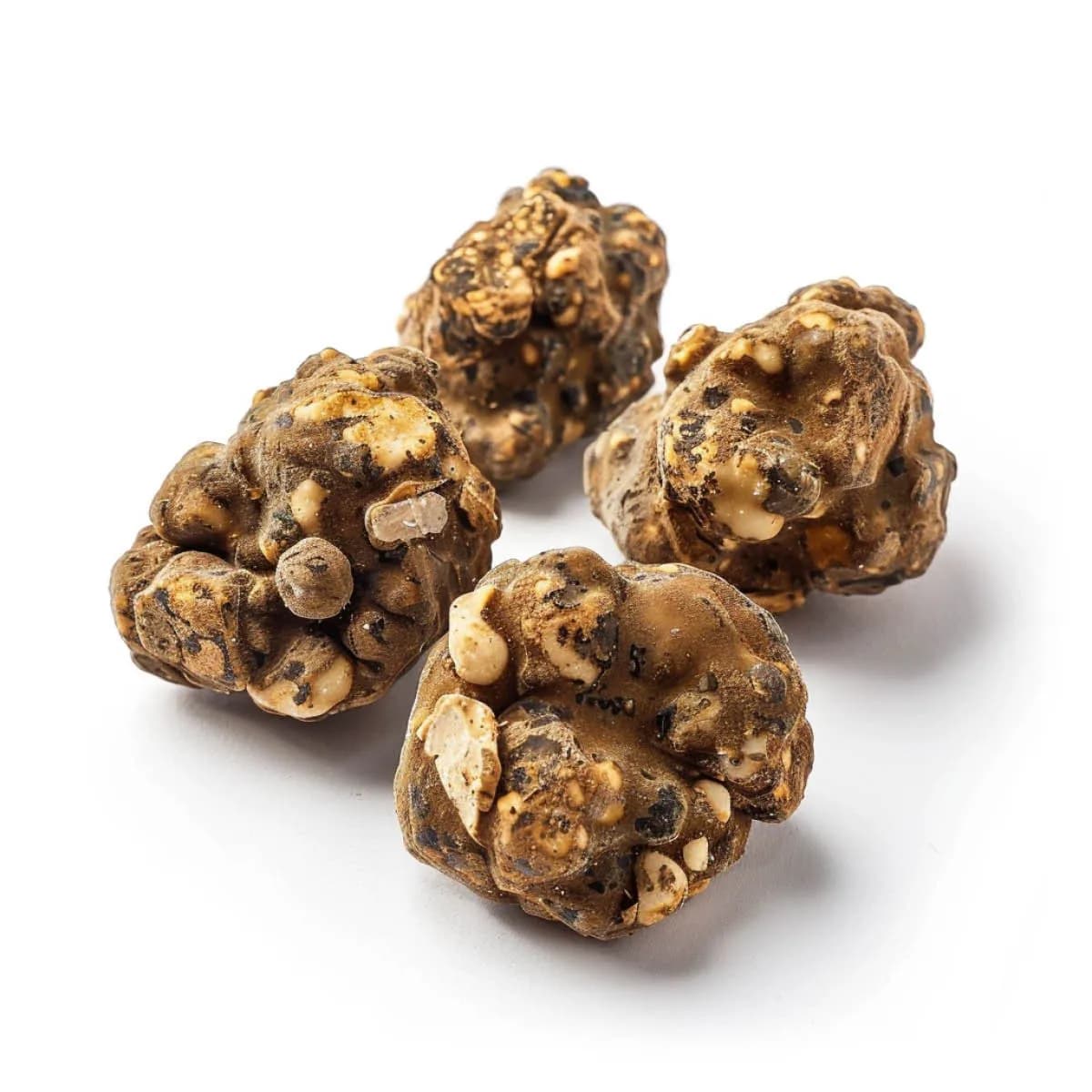 Tartufi Magici Tampanensis