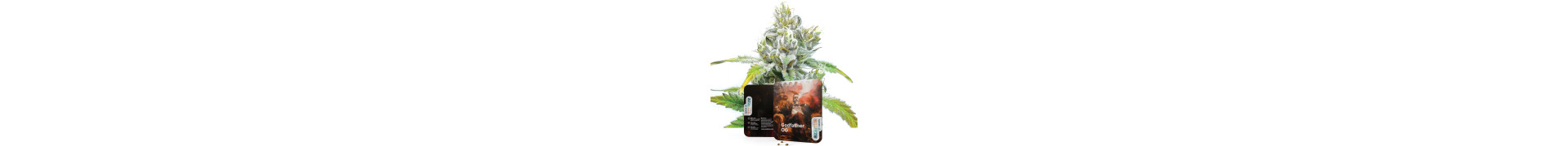 Acquista Varietà OG | Semi di Cannabis Premium